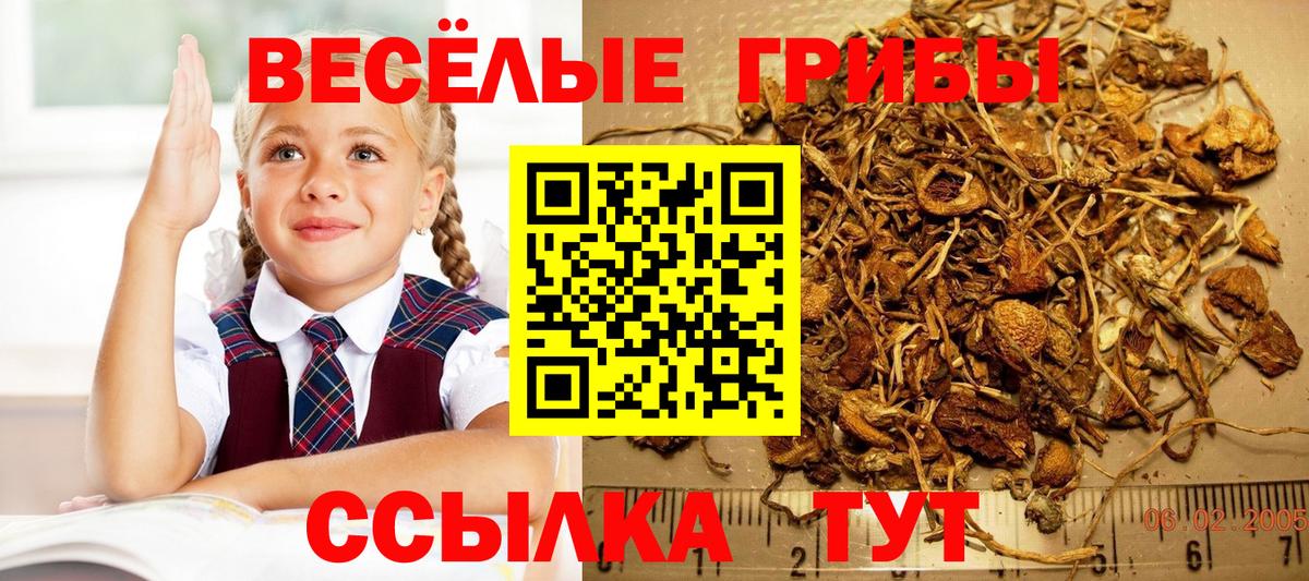 Псилоцибиновые грибы мухоморы Россия