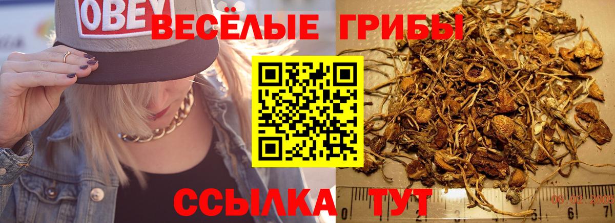 Россия  Галлюциногенные грибы Magic Shrooms  где можно купить   Вход с VPN 